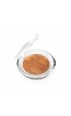Aden Terracotta Baked Blusher 02 Brown 5 gr