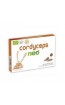 CORDYCEPS NEO 60 CAPSULAS