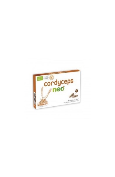 CORDYCEPS NEO 60 CAPSULAS