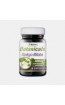 GINKGO 6000mg 30 CAPSULAS Lifeplan